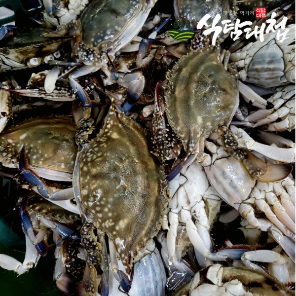 식탐대첩 연평도 알배기 암꽃게 1kg(3-5미) 급냉